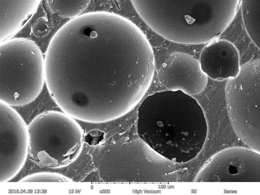 확대 맥스 150000X 전자 주사 현미경 5nm 결의안 EDS BSE