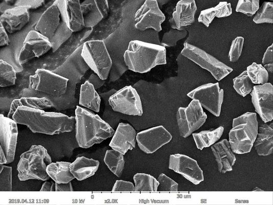 확대 맥스 150000X 전자 주사 현미경 5nm 결의안 EDS BSE