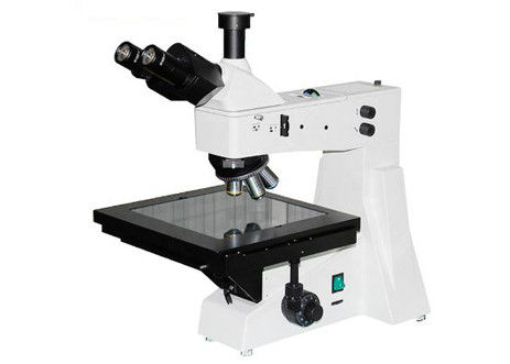 DIC 20x 10x 투과 광학 현미경 편광 WF10X/22mm 삼안