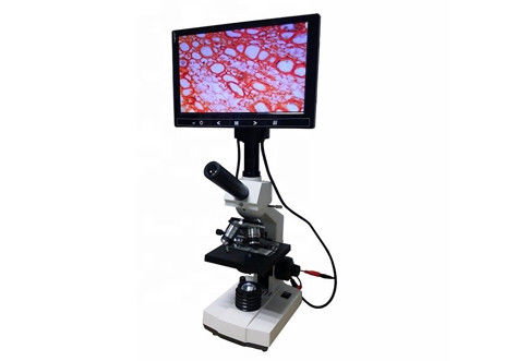 WF10X 2000X 실험실 생물학 현미경 Lcd 디지털 현미경 혈구 분석