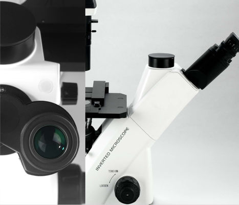 세포 관찰과 재배를 위한 40X-400X 역 광학 현미경 WF10X 22 밀리미터
